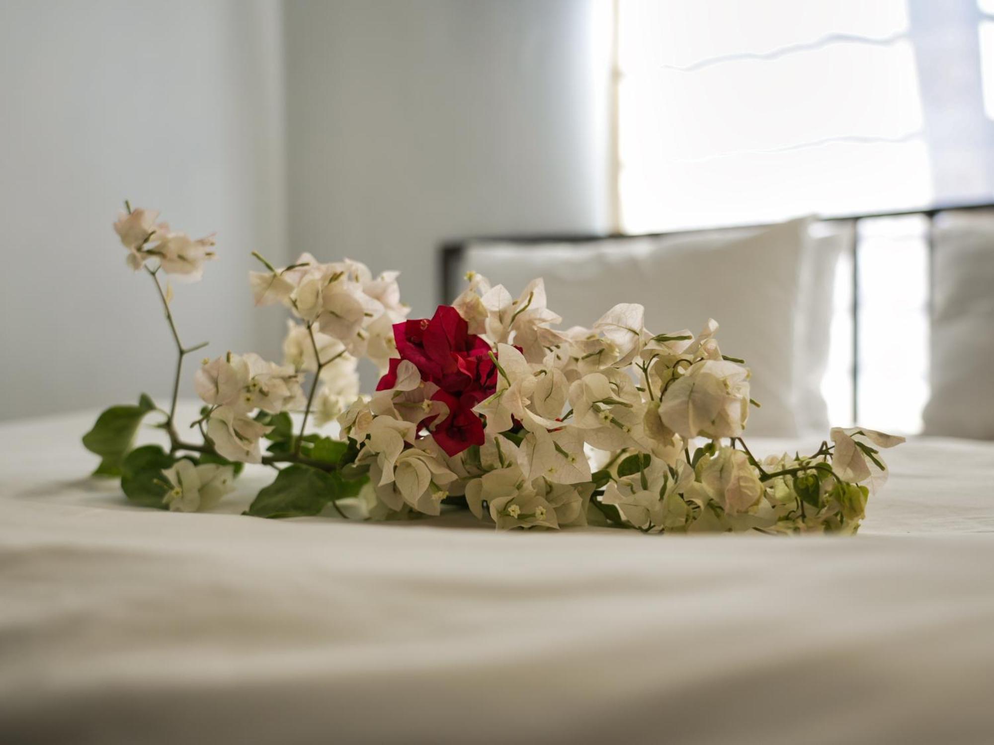 Golentle Home Stay Maun Chambre photo