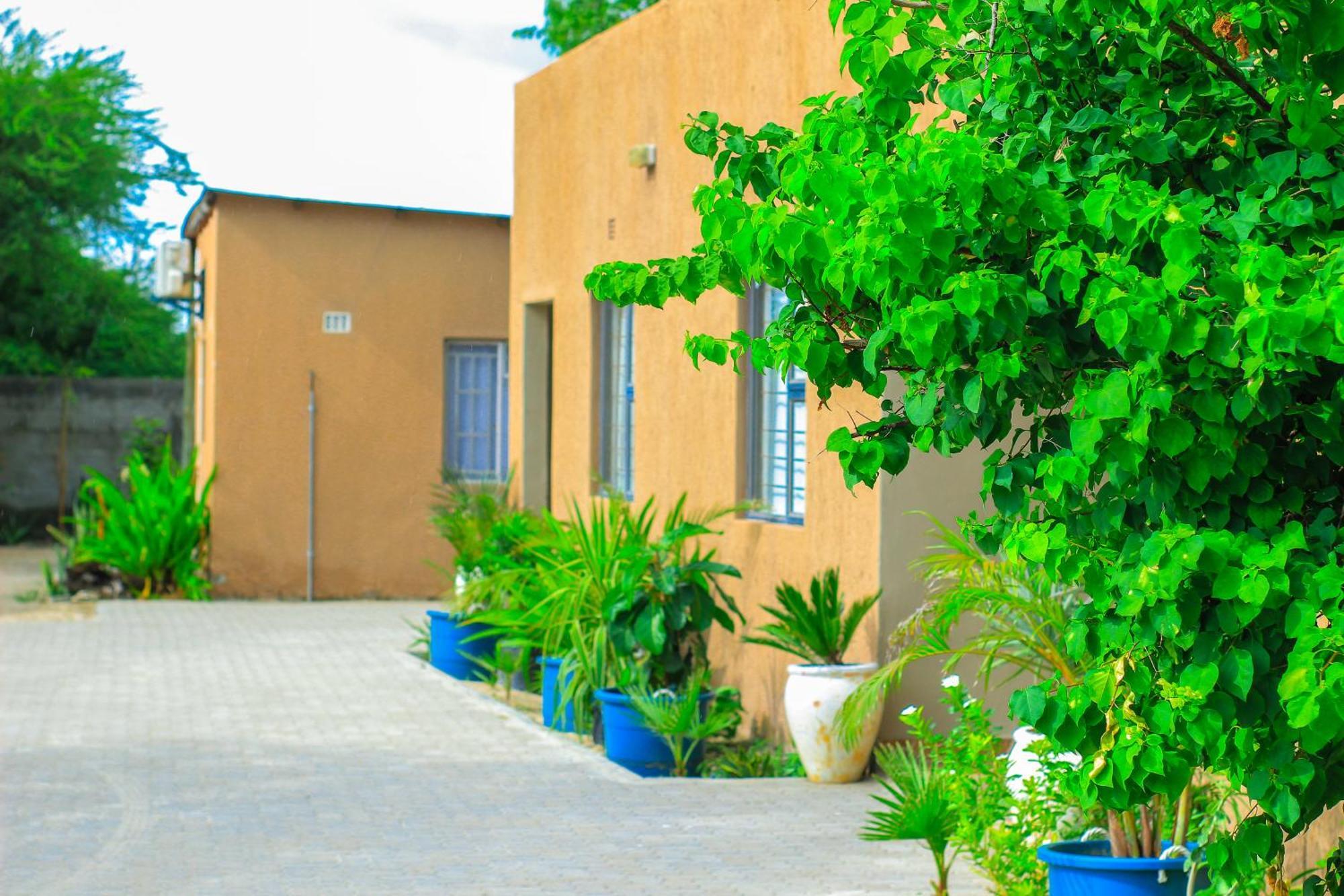 Golentle Home Stay Maun Extérieur photo