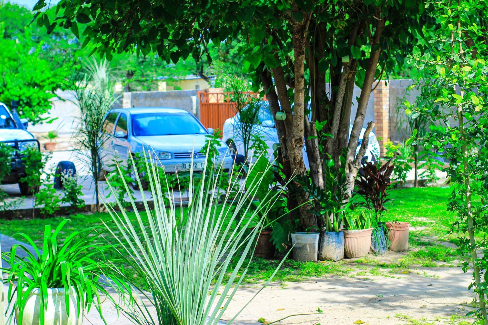Golentle Home Stay Maun Extérieur photo